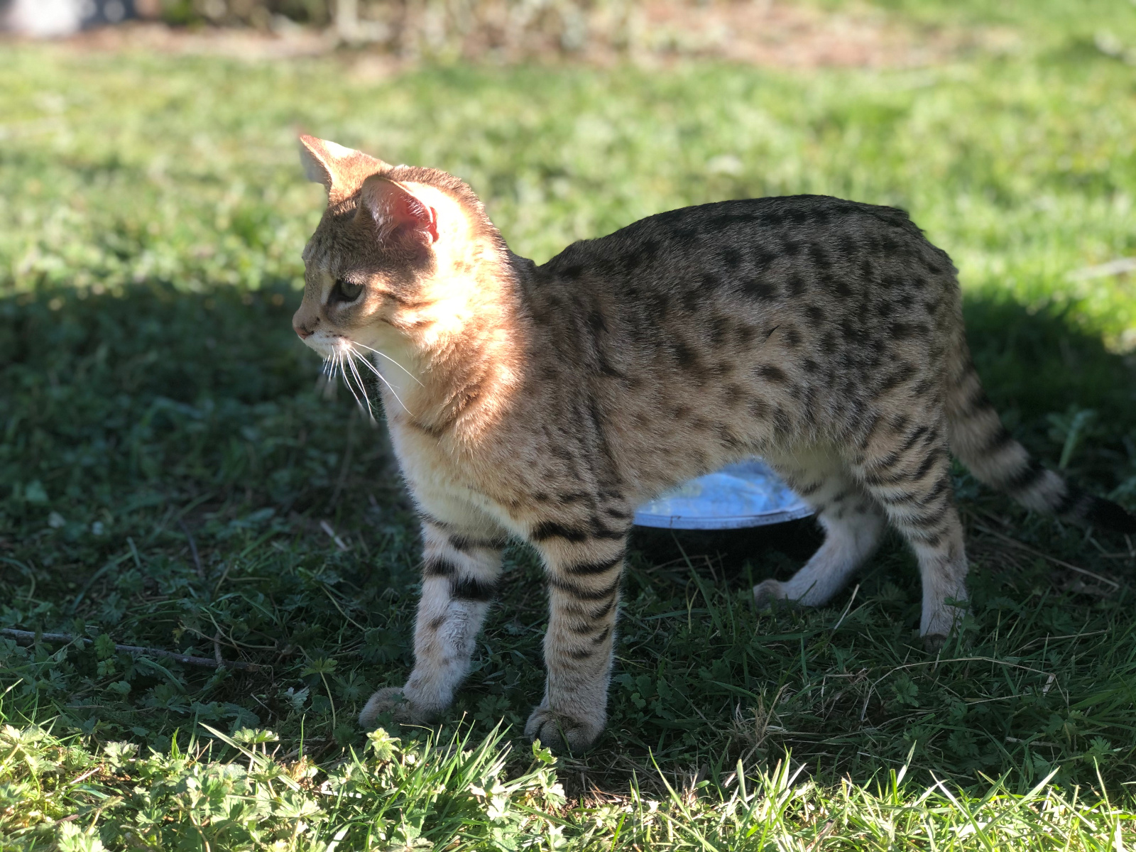 2020 02 23 16.09.19 1